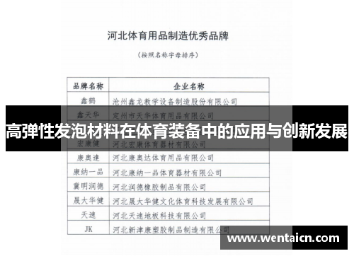 高弹性发泡材料在体育装备中的应用与创新发展