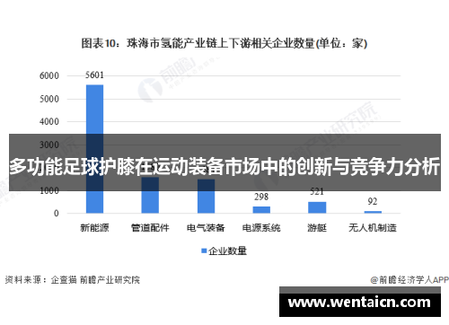 多功能足球护膝在运动装备市场中的创新与竞争力分析